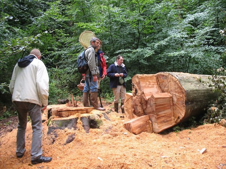 2011 07 Sortie bonus les Plainvaux 06